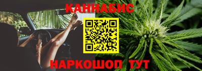 стафф Берёзовский