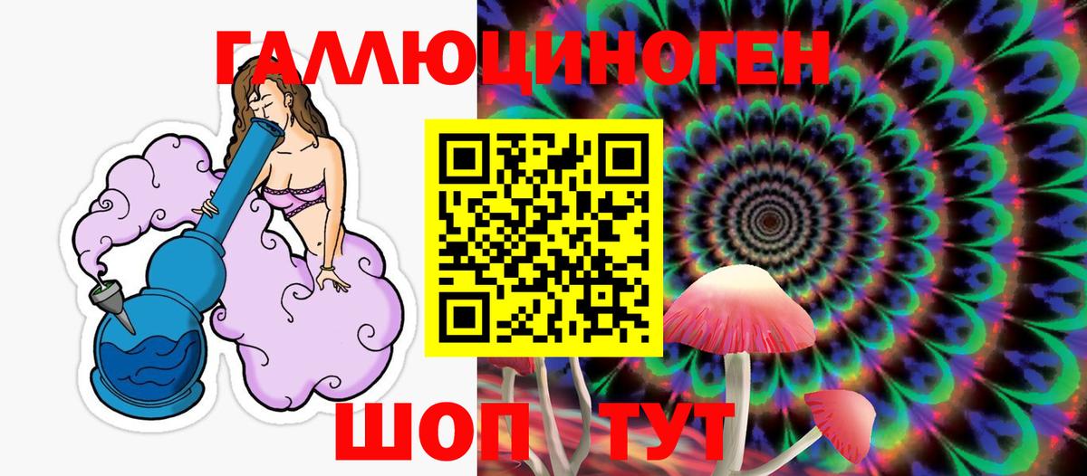 Псилоцибиновые грибы Psilocybe  Галлюциногенные грибы MAGIC MUSHROOMS  Старый Оскол 