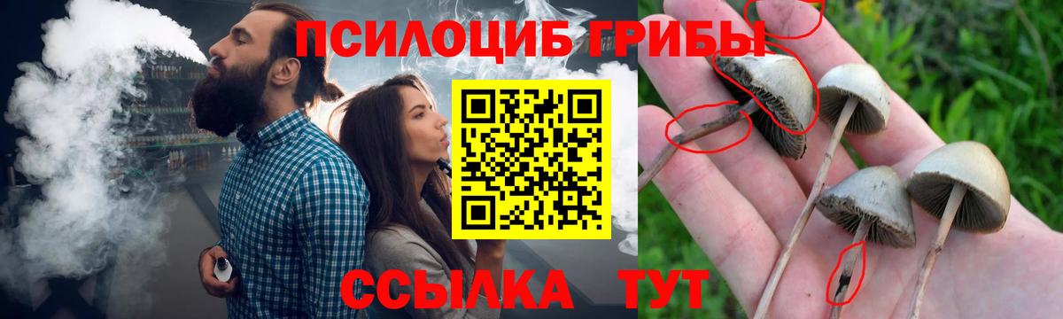Галлюциногенные грибы MAGIC MUSHROOMS  Псилоцибиновые грибы прущие грибы  Вход с VPN  Старый Оскол 